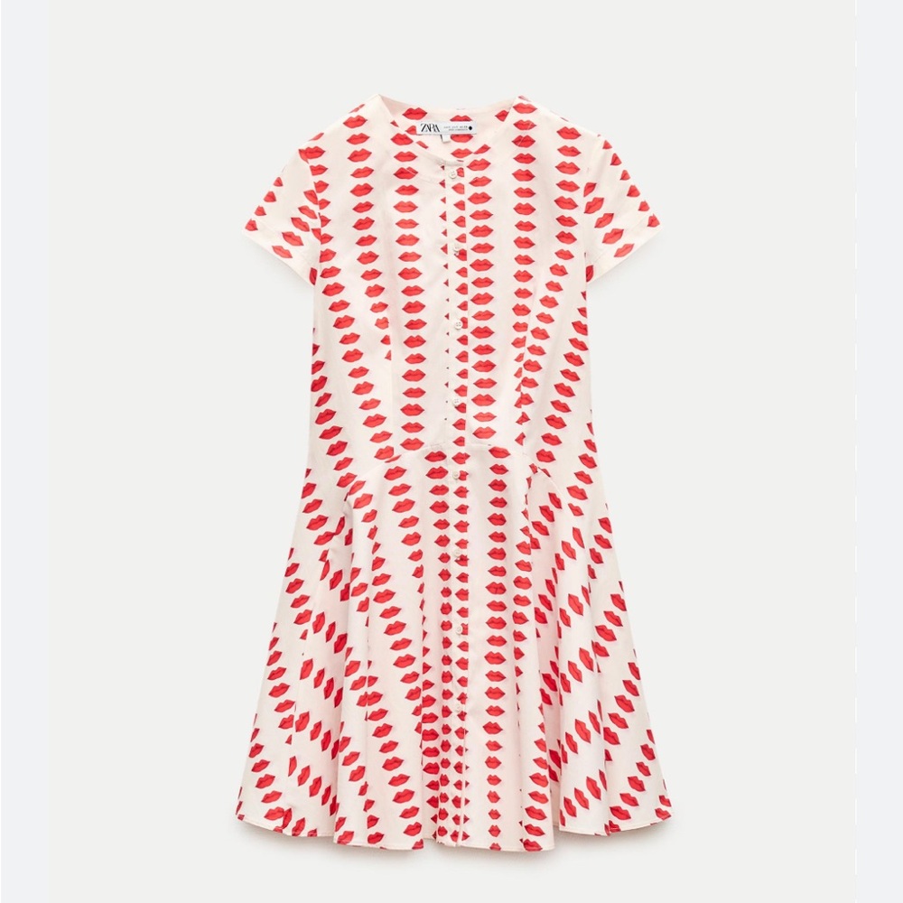 NWT Zara skater dress